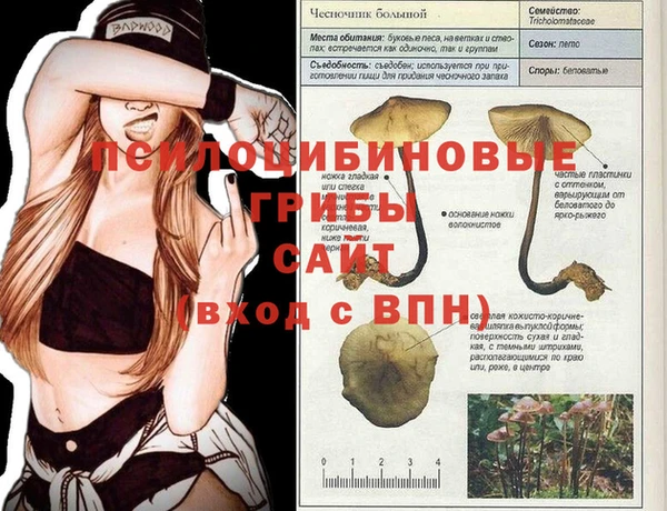 ешки Володарск