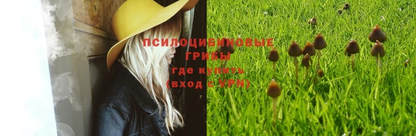 ешки Володарск