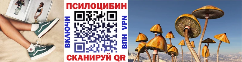 что такое   Вышний Волочёк  Псилоцибиновые грибы Psilocybine cubensis 